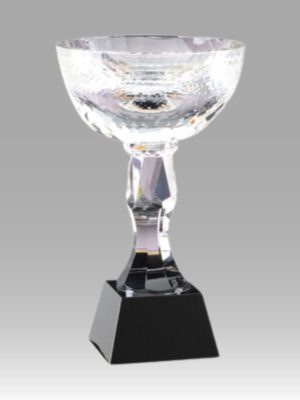 Glass  Crystal Cup Trophies